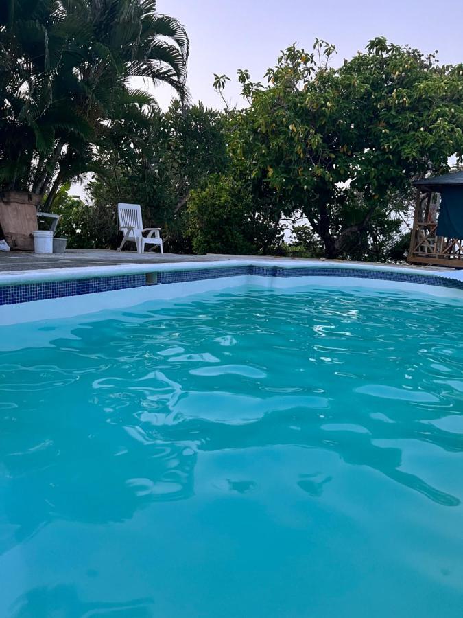 Jamaica Colors Hotel And Eco-Retreat Port Antonio Exterior foto