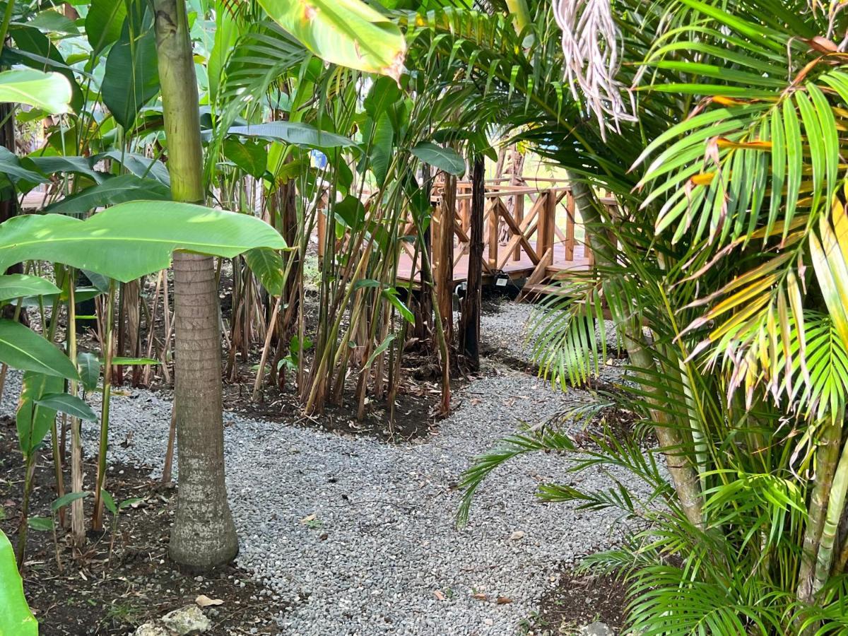 Jamaica Colors Hotel And Eco-Retreat Port Antonio Exterior foto