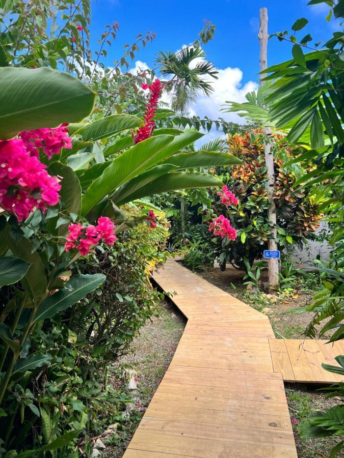 Jamaica Colors Hotel And Eco-Retreat Port Antonio Exterior foto